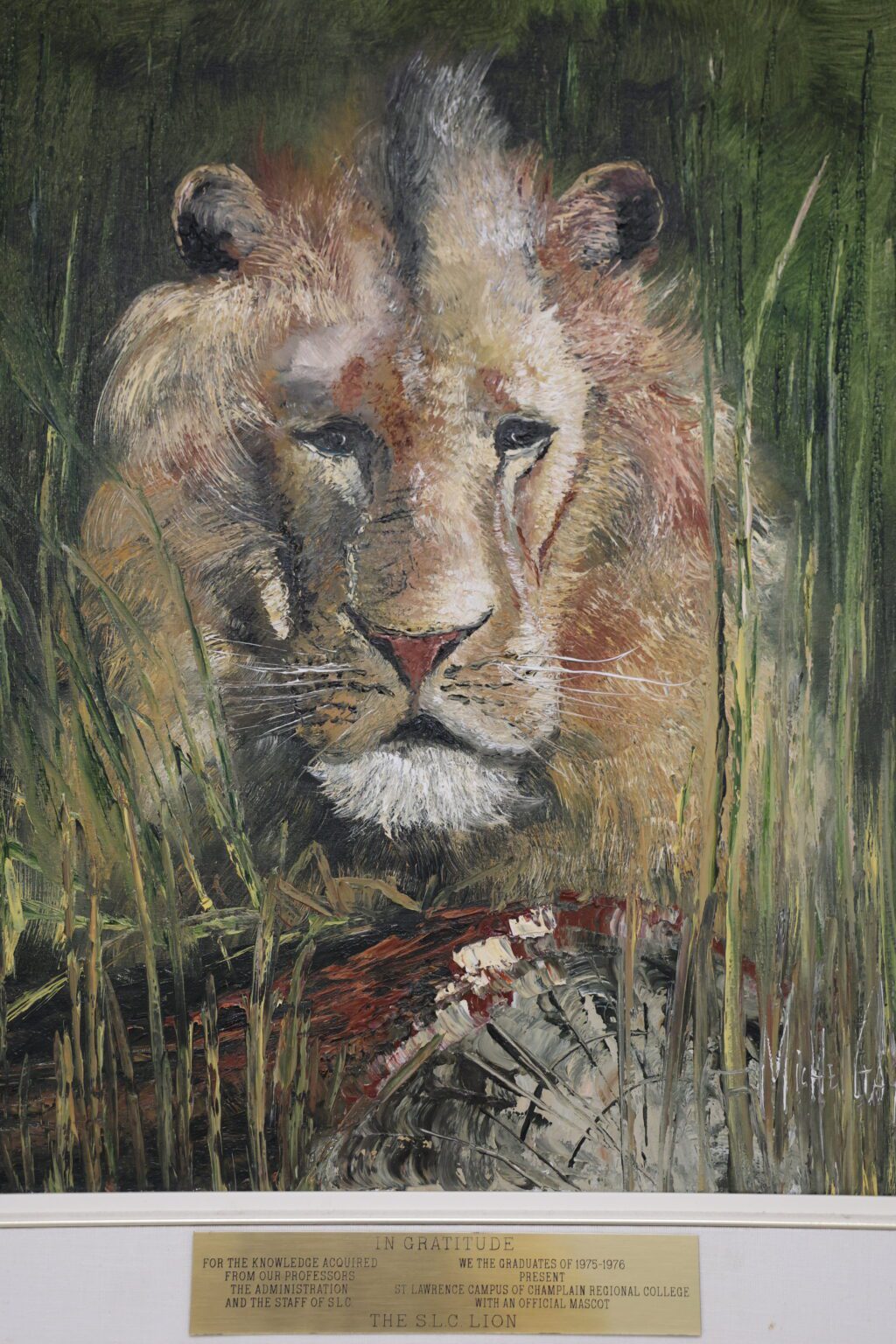 lion - about us slider