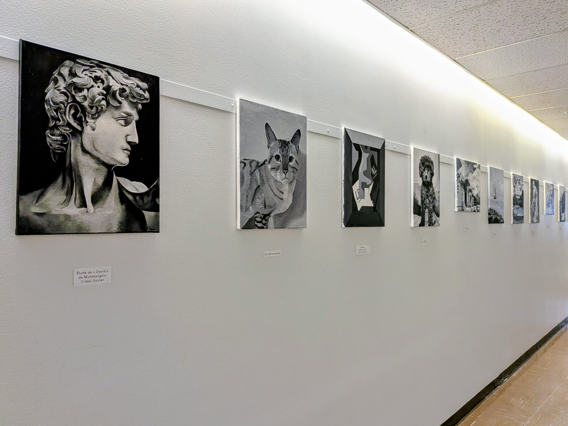 Monochrome Paintings